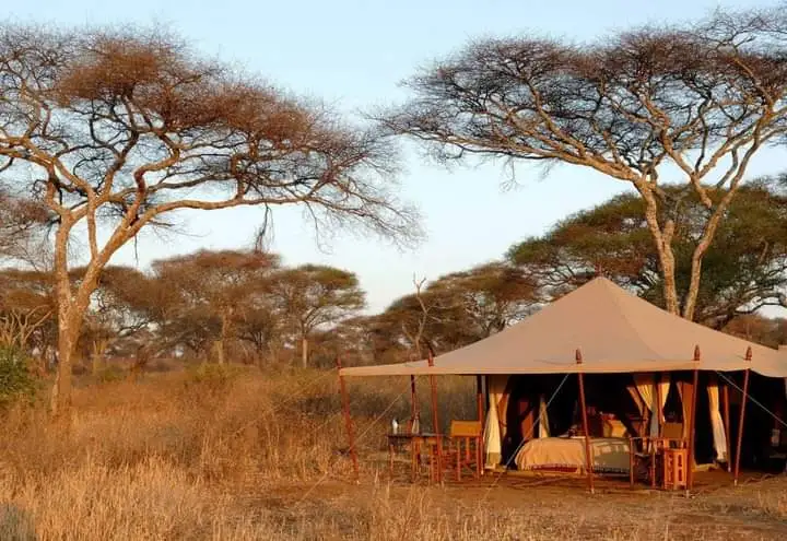 SERENGETI AND NGORONGORO